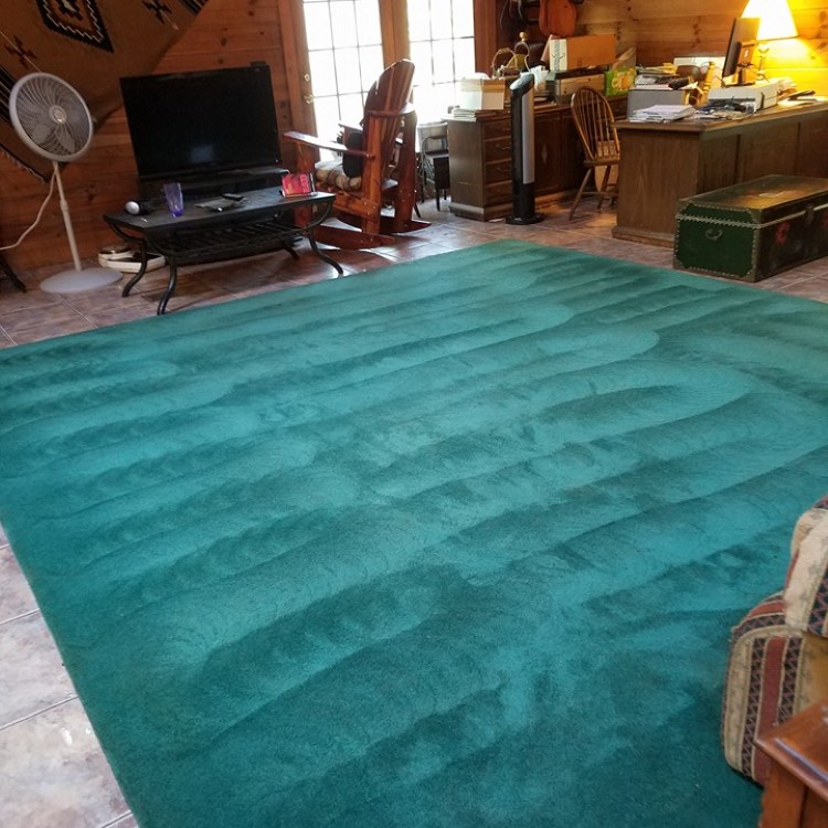Carpet Cleaning in Montgomery, AL