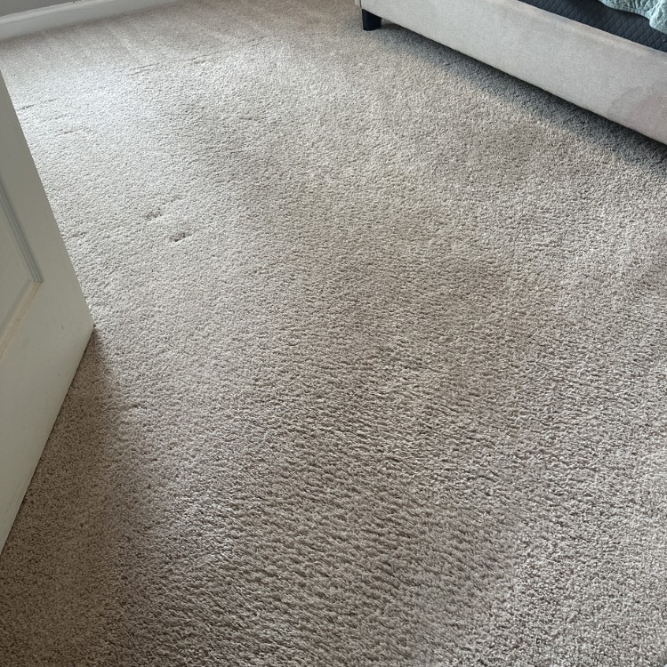 Carpet Cleaning in Montgomery, AL