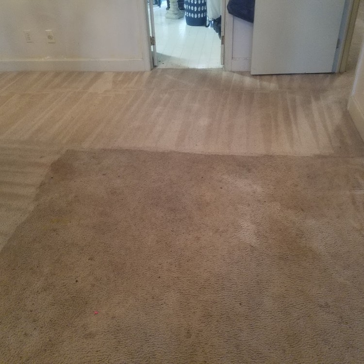 Carpet Cleaning in Montgomery, AL